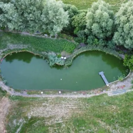 Pond *